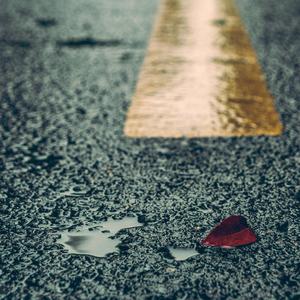 李毅吧第四十一期
